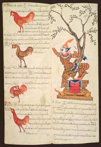 Twee pagina